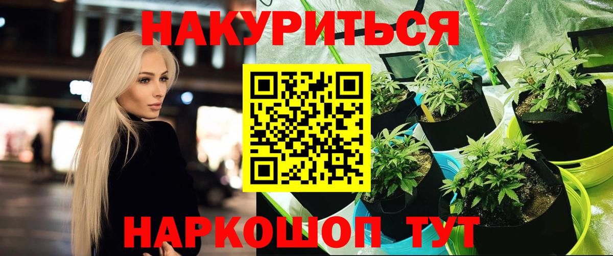 Чита  Бошки марихуана ГИДРОПОН  Вход с VPN  Марихуана тримм 